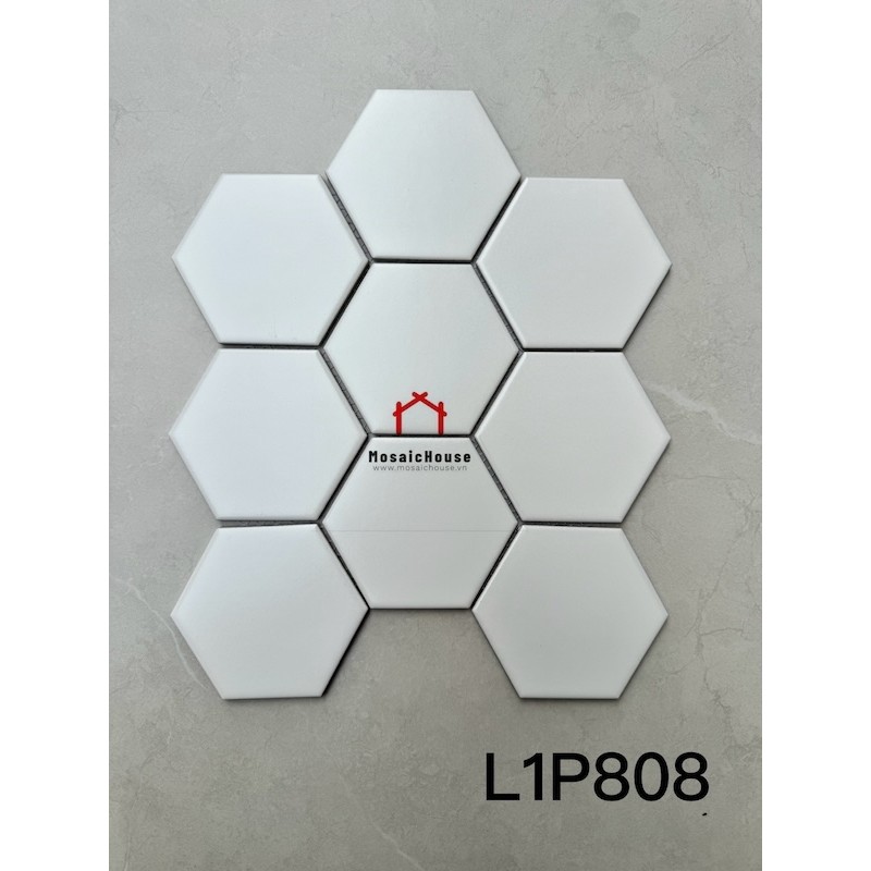 Gạch mosaic lục giác to màu trắng L1P808
